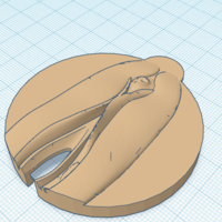 Special Can Lid *WINK* - Thumbnail 4