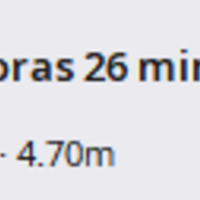 Porta Sahumerio Gatuno - Thumbnail 3