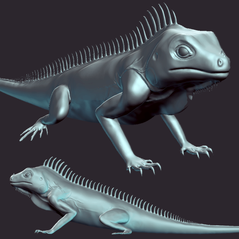 Iguana - Reptile - Lizard