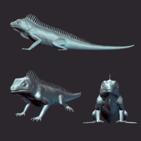 Iguana - Reptile - Lizard - Thumbnail 2