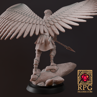 D&D Monsters - Aarakocra - Thumbnail 2
