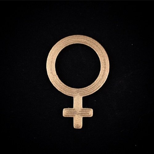 Copper Female Venus Symbol 3D Print 56081