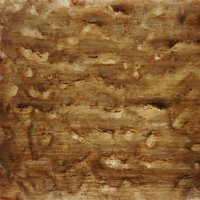 Ramen Veneer 6mm and 10mm - Thumbnail 2