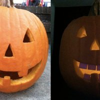 Pumpkin Tooth Replacement Project - Thumbnail 3