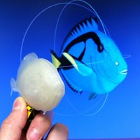 Print this Fish: 3D Printing Challenge - Thumbnail 3