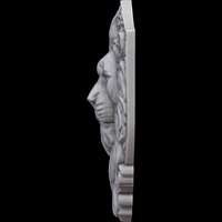 LION HEAD 3D PRINT MODEL - Thumbnail 5