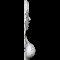 THE ENCHANTED WOMAN 3D PRINT MODEL - Thumbnail 4