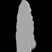 THE ENCHANTED WOMAN 3D PRINT MODEL - Thumbnail 5