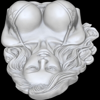 THE ENCHANTED WOMAN 3D PRINT MODEL - Thumbnail 8