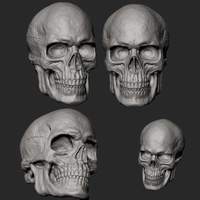 Male Skull 3D Print Model - Thumbnail 9
