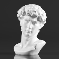 Premium Resin Greek Michelangelo David Bust Statue - Thumbnail 1