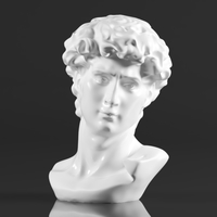 Premium Resin Greek Michelangelo David Bust Statue - Thumbnail 2