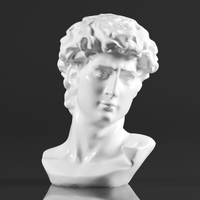 Premium Resin Greek Michelangelo David Bust Statue - Thumbnail 3