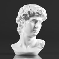 Premium Resin Greek Michelangelo David Bust Statue - Thumbnail 4