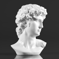 Premium Resin Greek Michelangelo David Bust Statue - Thumbnail 5