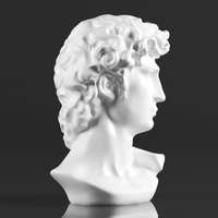 Premium Resin Greek Michelangelo David Bust Statue - Thumbnail 6