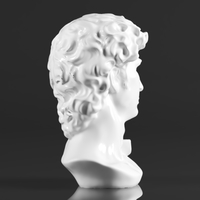 Premium Resin Greek Michelangelo David Bust Statue - Thumbnail 7