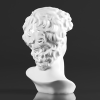 Premium Resin Greek Michelangelo David Bust Statue - Thumbnail 8