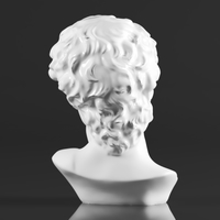 Premium Resin Greek Michelangelo David Bust Statue - Thumbnail 9