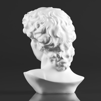 Premium Resin Greek Michelangelo David Bust Statue - Thumbnail 10