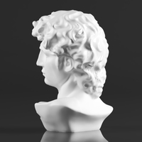 Premium Resin Greek Michelangelo David Bust Statue - Thumbnail 11