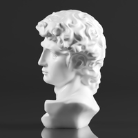 Premium Resin Greek Michelangelo David Bust Statue - Thumbnail 12