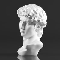 Premium Resin Greek Michelangelo David Bust Statue - Thumbnail 13