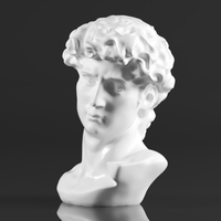 Premium Resin Greek Michelangelo David Bust Statue - Thumbnail 14