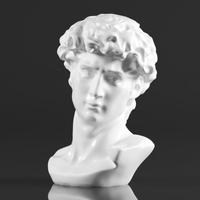 Premium Resin Greek Michelangelo David Bust Statue - Thumbnail 15