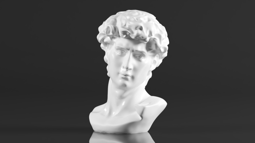 Premium Resin Greek Michelangelo David Bust Statue