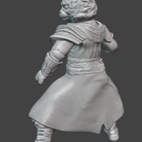 D&D Monk Cat - Thumbnail 1