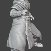 D&D Monk Cat - Thumbnail 2