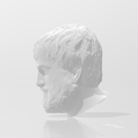 Aristotles Head - Thumbnail 3