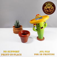 Mr. Happy Cactus - Thumbnail 3