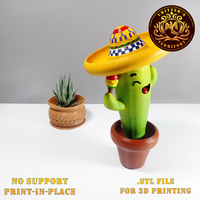 Mr. Happy Cactus - Thumbnail 5