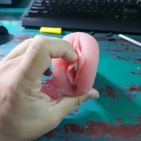 Masturbator pussy vagina with labia - Thumbnail 1
