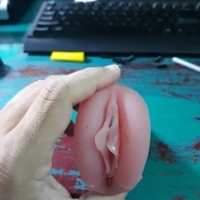 Masturbator pussy vagina with labia - Thumbnail 2