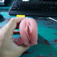 Masturbator pussy vagina with labia - Thumbnail 3