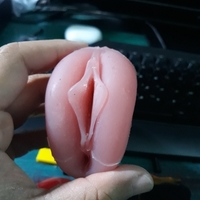 Masturbator pussy vagina with labia - Thumbnail 4