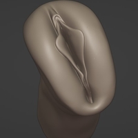 Masturbator pussy vagina with labia - Thumbnail 6