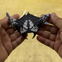 Flexi Manta Ray - Thumbnail 1