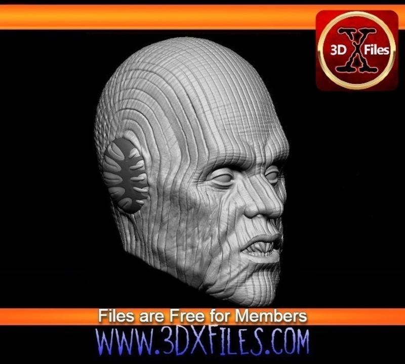 Pau'an -  Star Wars Head Sculpt - Custom Action Figure 