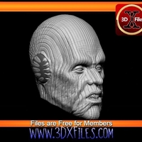 Pau'an -  Star Wars Head Sculpt - Custom Action Figure  - Thumbnail 1