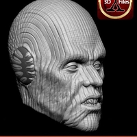 Pau'an -  Star Wars Head Sculpt - Custom Action Figure  - Thumbnail 2