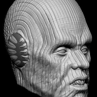 Pau'an -  Star Wars Head Sculpt - Custom Action Figure  - Thumbnail 3