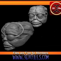 Prune Face Head Sculpt - Star Wars custom Action Figure  - Thumbnail 1