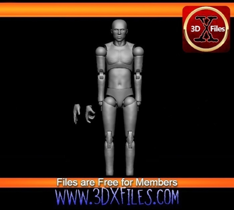 Articulated HotToys Clone Trooper Body  - Narrow Body