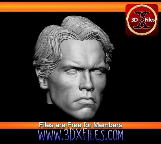 Arnold Schwarzenegger - Head Sculpt - Custom Action Figure 