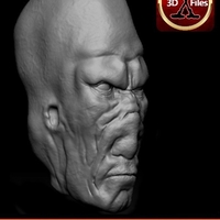 Munn Head Sculpt - Star wars custom Action Figure  - Thumbnail 1