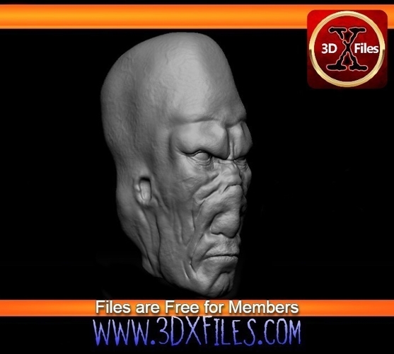 Munn Head Sculpt - Star wars custom Action Figure 